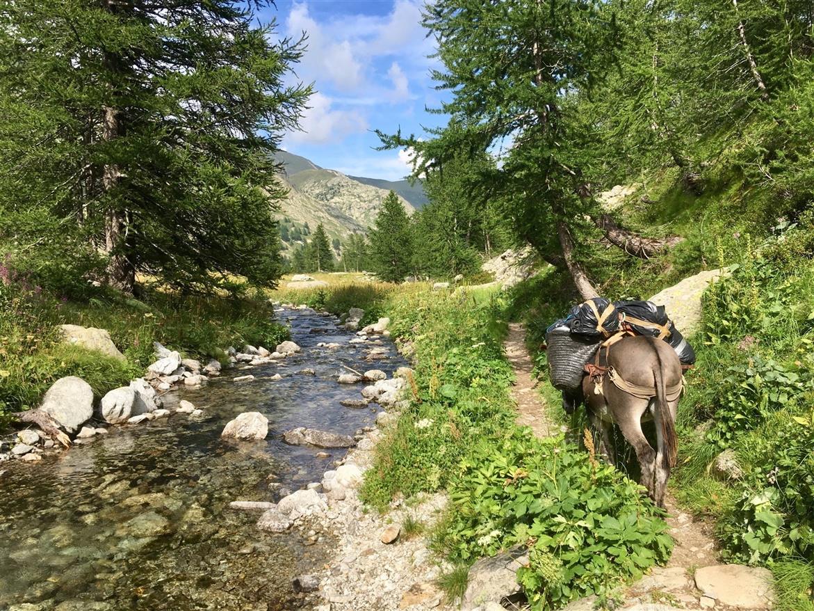 anes-ravitaillent-refuge-valmasque-mercantour anes-ravitaillent-refuge-valmasque-mercantour