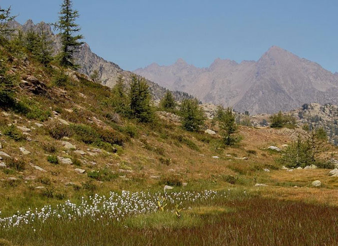 Le-Mercantour-dans-son-cœur-de-parc Le-Mercantour-dans-son-cœur-de-parc