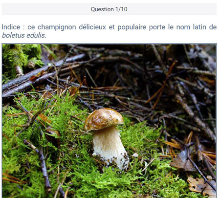 quizz-champignons-MonGR