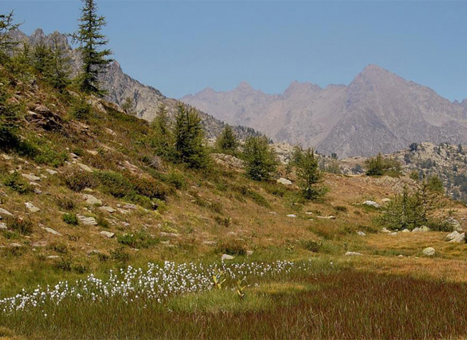 État-des-lieux-des-sentiers-de-haute-Vésubie-(Mercantour)