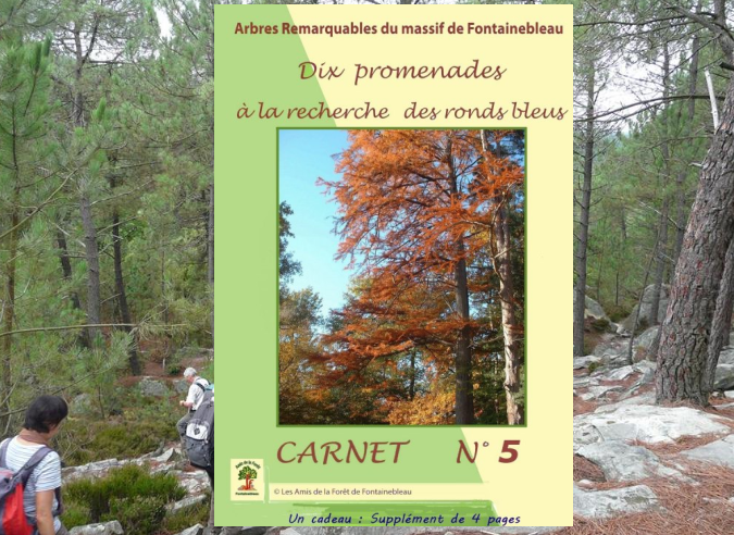 Les arbres remarquables de la forêt de Fontainebleau  