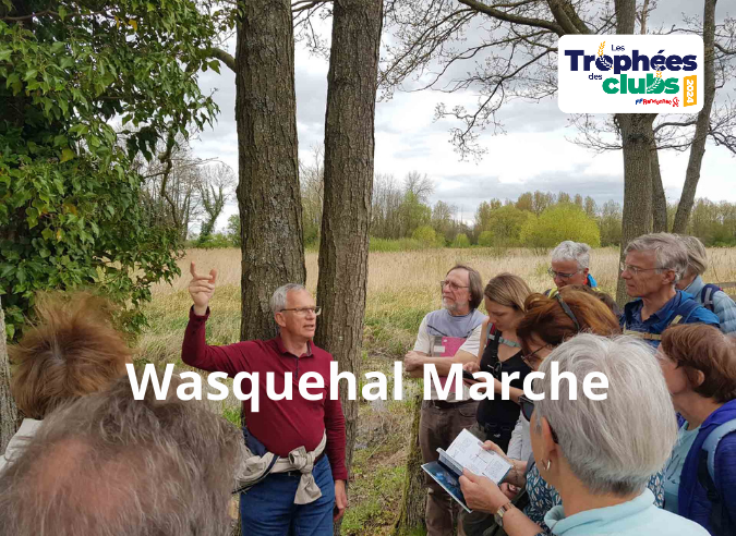 Wasquehal Marche