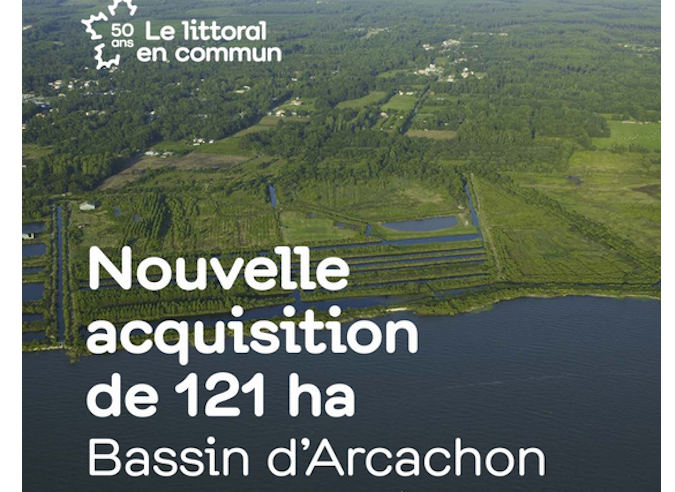 Bonne nouvelle : une partie du bassin d’Arcachon préservée 