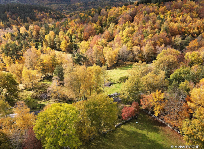 Forêts en Vie, premier fonds de dotation dédié à la forêt en France