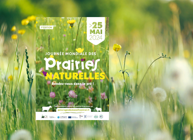 Journée mondiale des prairies naturelles - 25 mai 2024 Journée mondiale des prairies naturelles - 25 mai 2024