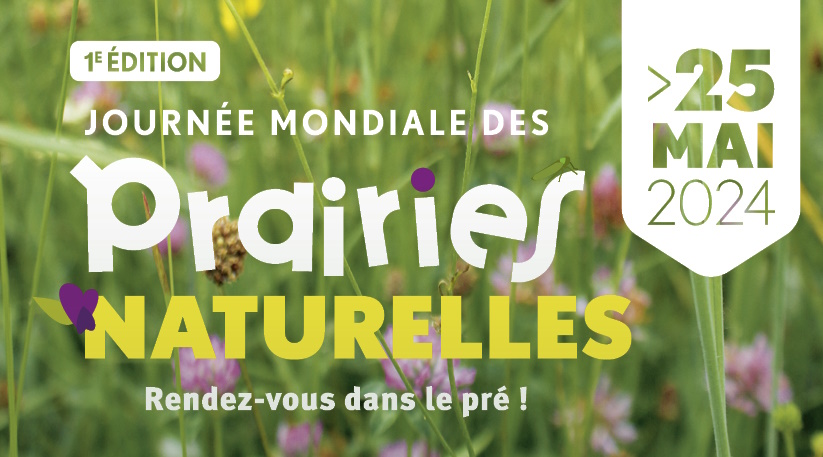 prairies