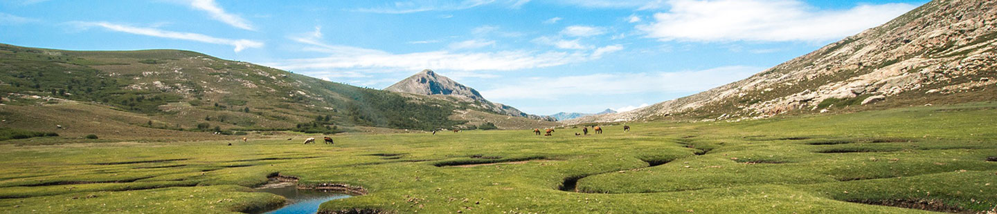 Randonner dans les espaces naturels protégés