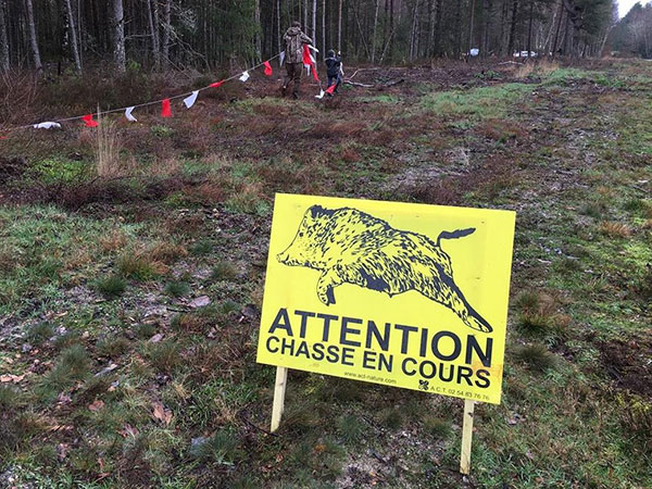 Chasse en Sologne- décembre 2019 - DR