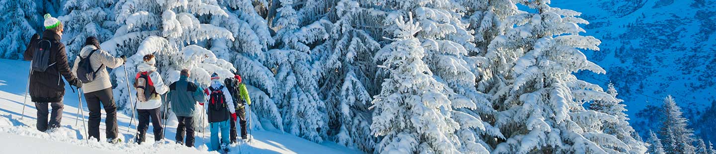 randonner-milieu-enneige-credit-johannes-braun