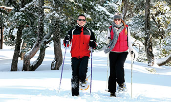 Raquetticime en Vanoise Raquetticime en Vanoise
